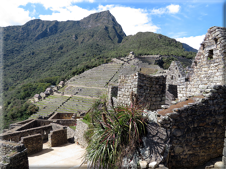 foto Machu Picchu